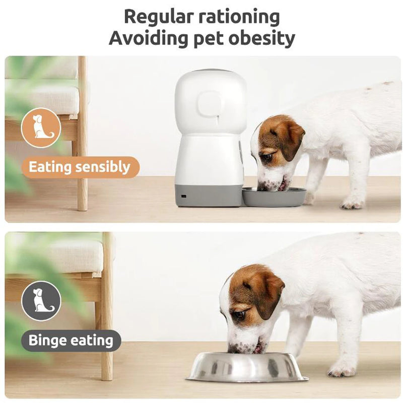 Comedouro Automático Wi-Fi para Pets de 3,5L - Dispenser de Ração Inteligente para Cães Gatos e Gravação de Voz