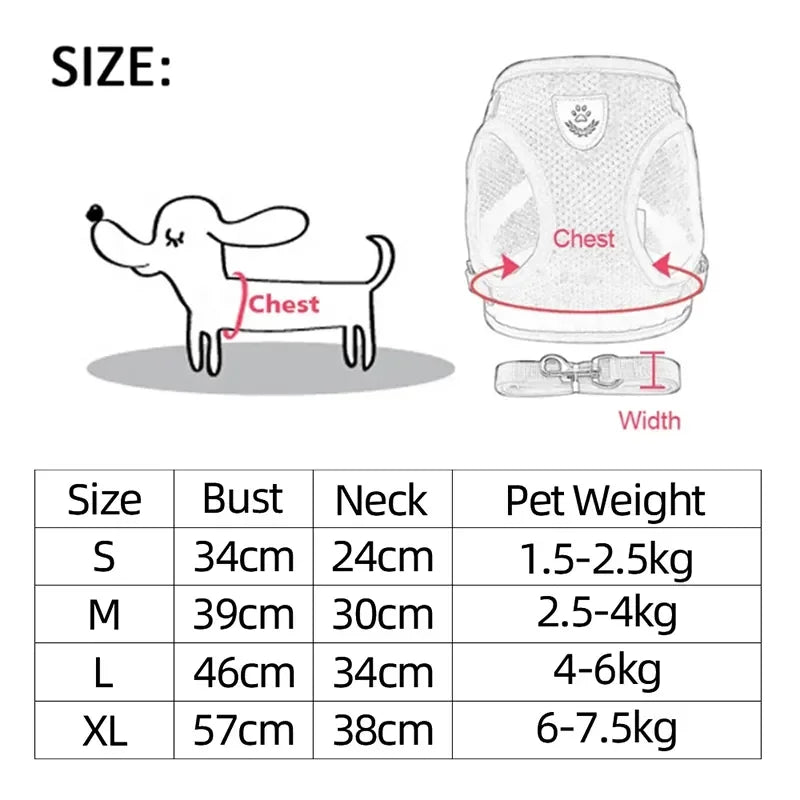 Peitoral com Coleira Guia Confortável - Ajustável para Cães e Gatos Pequenos a Médios - Guia para Passeio Confortável