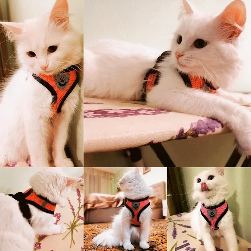 Peitoral com Coleira Guia Confortável - Ajustável para Cães e Gatos Pequenos a Médios - Guia para Passeio Confortável