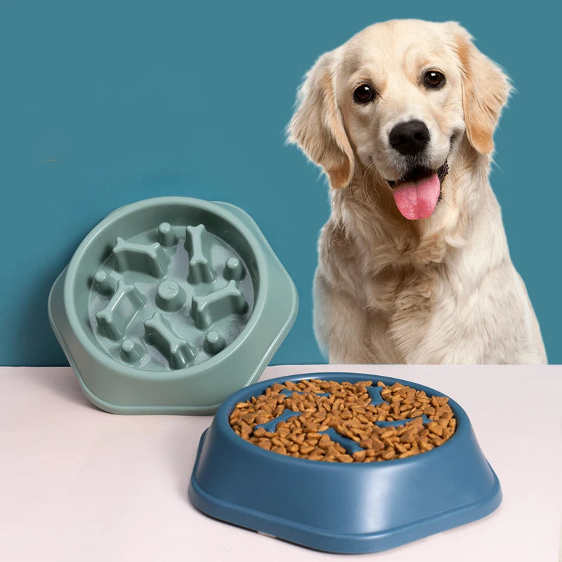 Tigela Anti Engasgo Alimentação Lenta para Pets Cães e Gatos