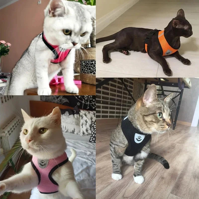 Peitoral com Coleira Guia Confortável - Ajustável para Cães e Gatos Pequenos a Médios - Guia para Passeio Confortável